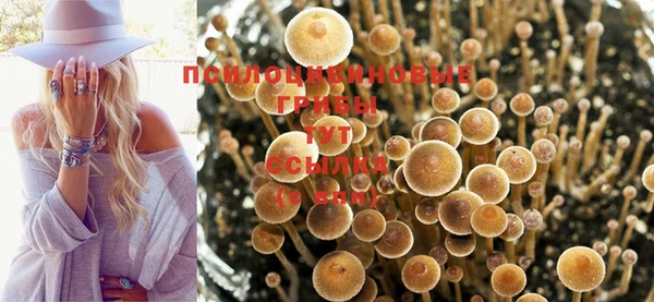 не бодяженный Болхов