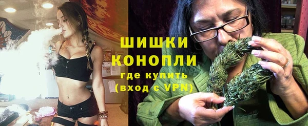 сатива Осинники