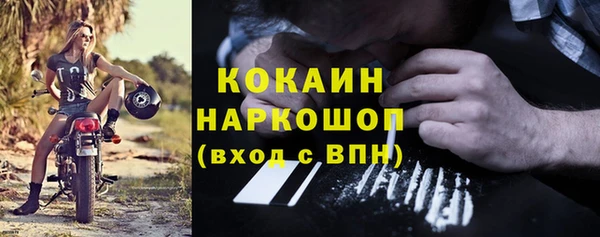 сатива Осинники