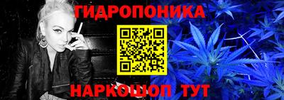спиды Заводоуковск
