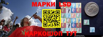 ПСИЛОЦИБИНОВЫЕ ГРИБЫ Жуковский