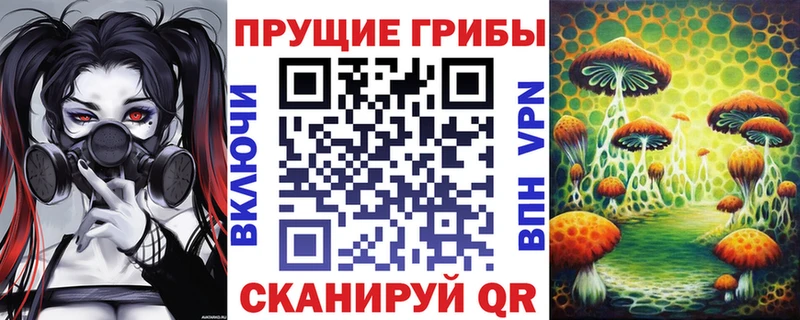 Галлюциногенные грибы Psilocybine cubensis  Биробиджан 