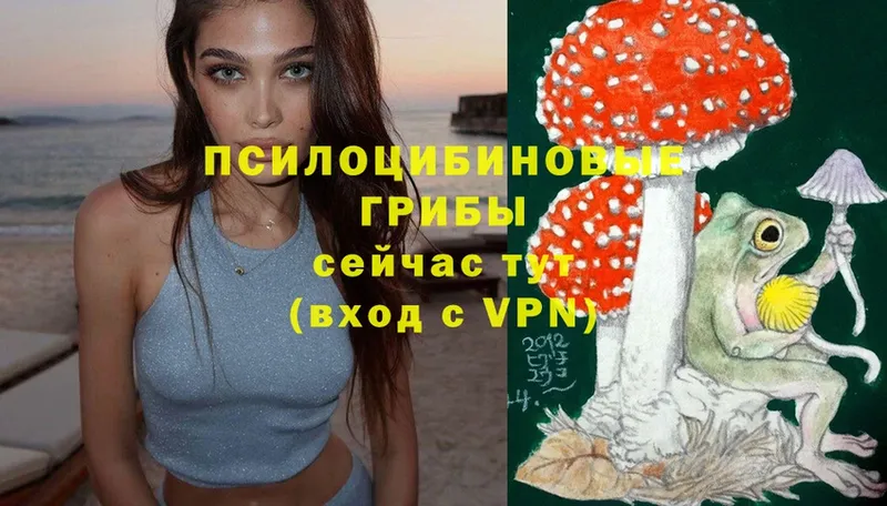 что такое наркотик  Биробиджан  Галлюциногенные грибы MAGIC MUSHROOMS 